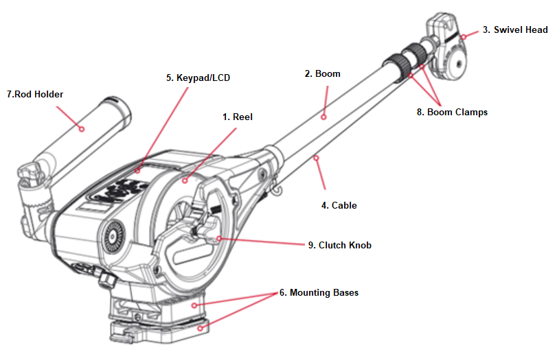 Optimum Anatomy